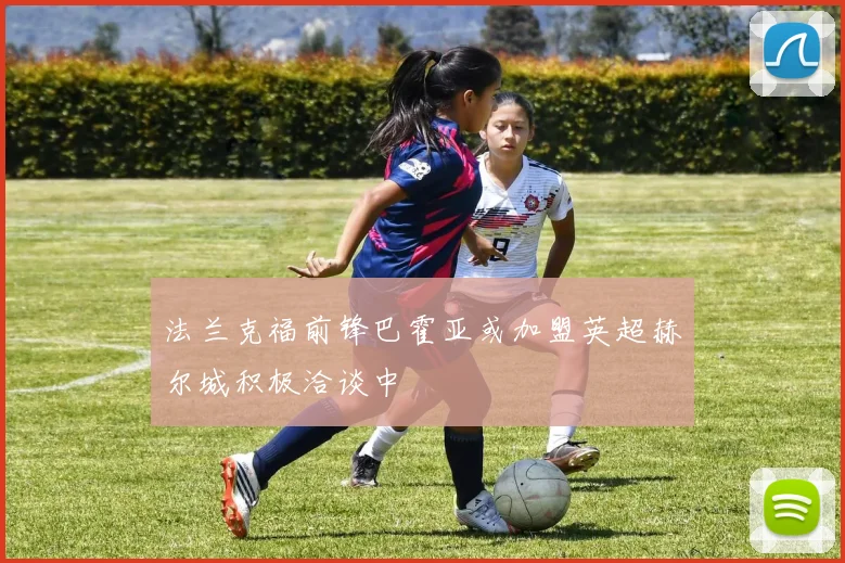法兰克福前锋巴霍亚或加盟英超赫尔城积极洽谈中